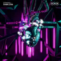Over Love — Zomwell