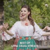 Best of Livia Celea Streata