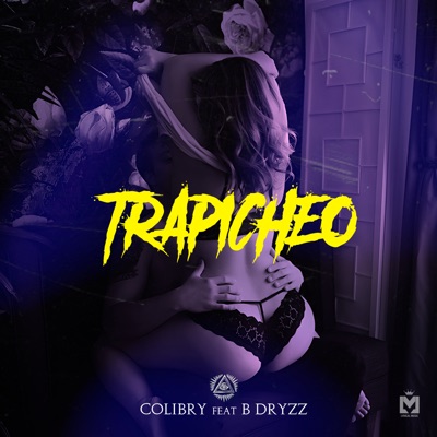 Trapicheo (feat. B Dryzz) - Single