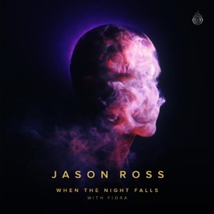 When The Night Falls - Single