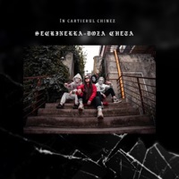 DoZă CHETĂ - Single - Secrinella