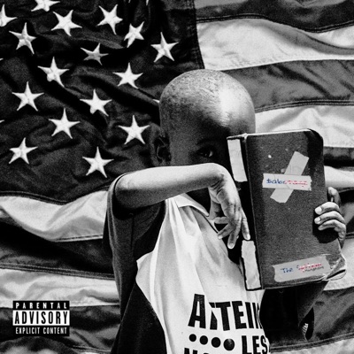 The Wisconsin $abotage