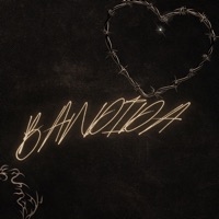 Bandida (feat. Dj Leo Lg) - Single - Dj Dg Do Rb & Mc Kadu