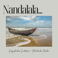Nandalala (feat. Manikandan Chembai) - Single - Girijashankar Sundaresan