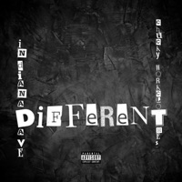 Different (feat. Chucky Workclothes) - Single - Indiana Dave