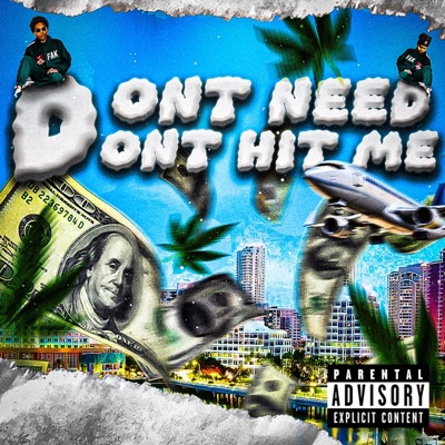 Dont Need Dont Hit Me - Single