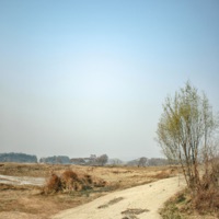 Drifting - Single - Callaghan