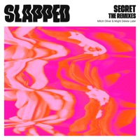 Secret: The Remixes - Single - Mitch Oliver & Might Delete Later
