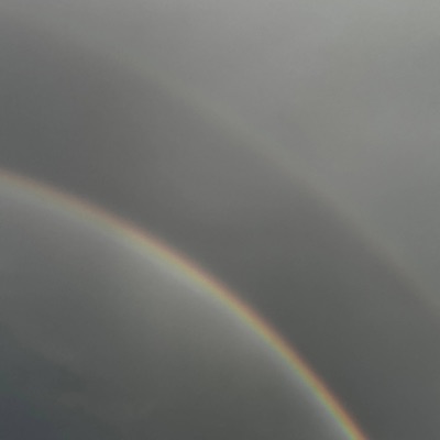 Put Them Hands High (Instrumental) - Single