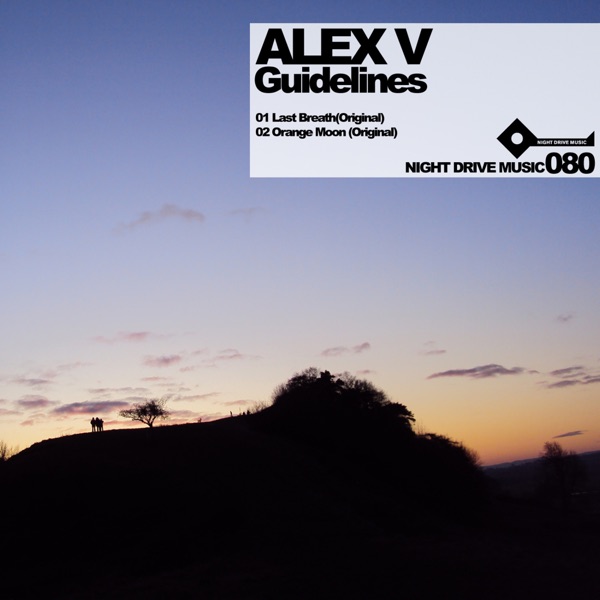 Guidelines - Single