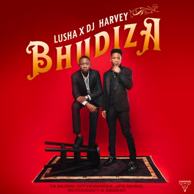 Bhudiza (feat. TA MusiQ, Citykingrsa, JFS Music, Blvcknavy, Deeray) - Single