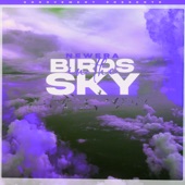 Birds In The Sky (Tays & Charva Boys Remix) artwork