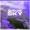 Birds In The Sky (Tays & Charva Boys Remix) artwork