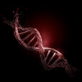 Подземелье йерт