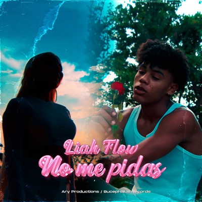 No me Pidas - Single