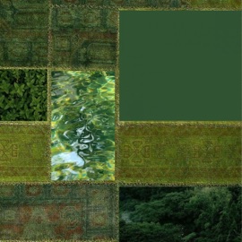 Forest Green ilylost