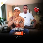 Chwepheshe - Nguye (feat. Mshikashika Shikas)