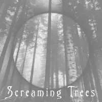 Screaming Trees — Moons In Retrograde