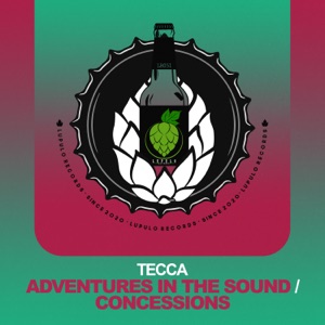 Adventures in the Sound / Concessions - Single