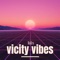 Vicity Vibes - Niv0ra lyrics
