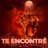 Te Encontré (feat. Flame 火炎) - Single - Meysan