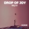 Disco Ball (Radio Edit) - IBQ DJ lyrics