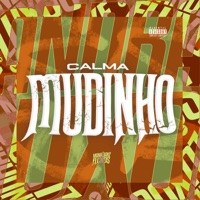 Calma Mudinho - Single - MC Nauan & DJ TERLESQUI
