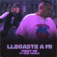 Llegaste a mi (feat. Keel Camila) - Single - Pony Mc