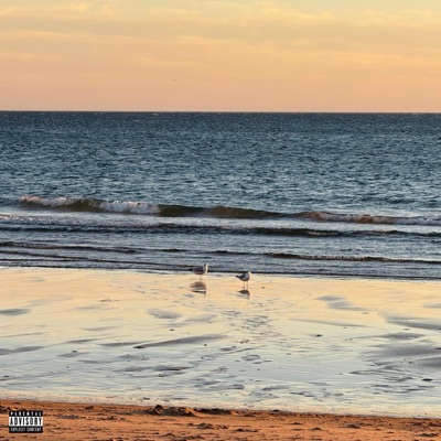 TAN LiNDA SiN Mi - Single