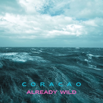 Already Wild - EP