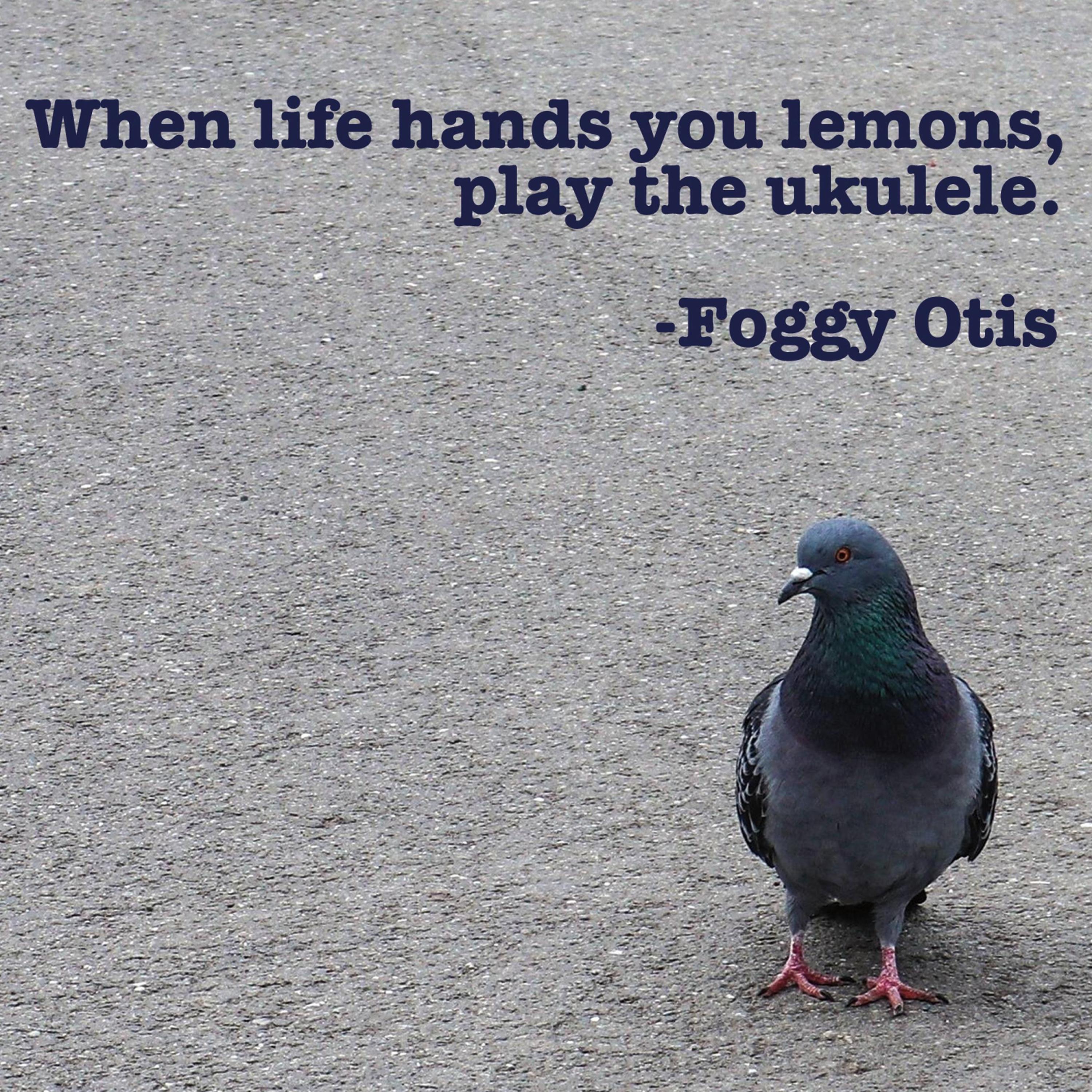 When life hands you lemons, play the ukulele.