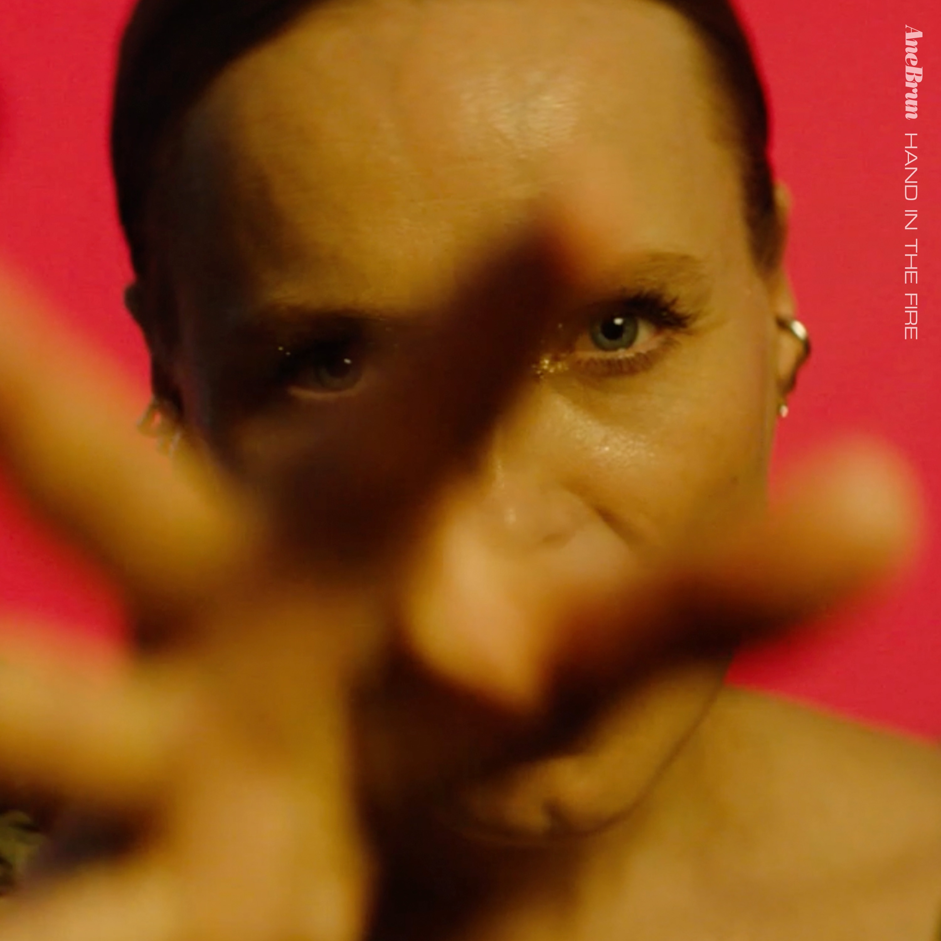 Hand in the Fire - Single