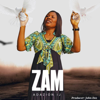Zam - Adazion Ij