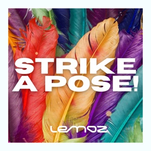 Strike a Pose (DJ Mix)