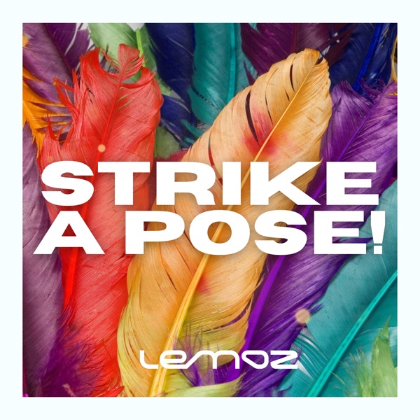 Strike a Pose (DJ Mix)