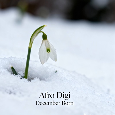 December Born - Single