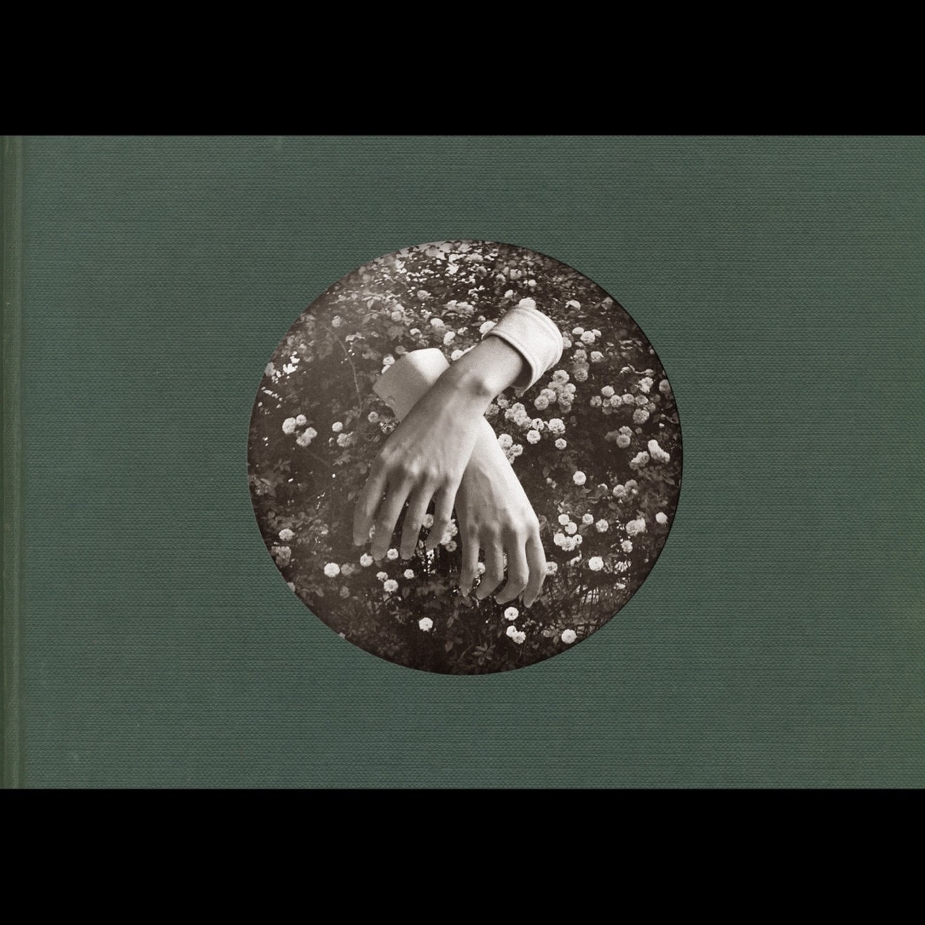 aspidistrafly – A Little Fable (2011) [iTunes Match M4A]