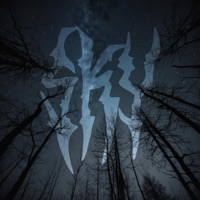 SKY - Single - Flippin'