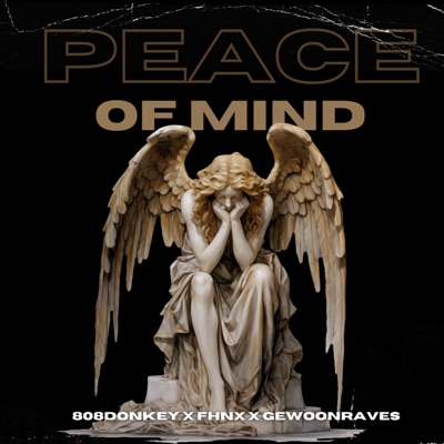 Peace of Mind - Single