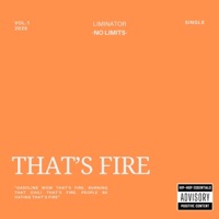 That's Fire  (feat. David, Omar, Aditi & Samreen) - Single - Liminator