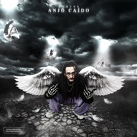 ANJO CAÍDO (feat. dattpurpp) - Single - DVNTV$