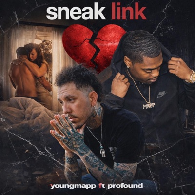 Sneaky link remix (feat. Profound) - Single
