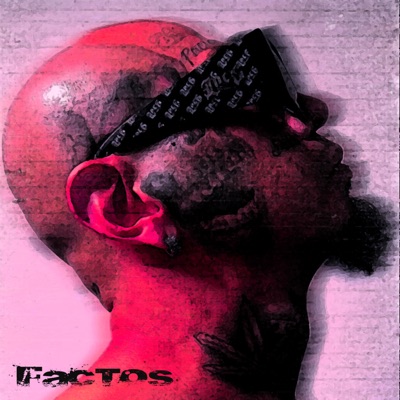 Factos - Single