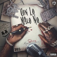 Punta cana (feat. Gabo la química) - Single - Shey 369