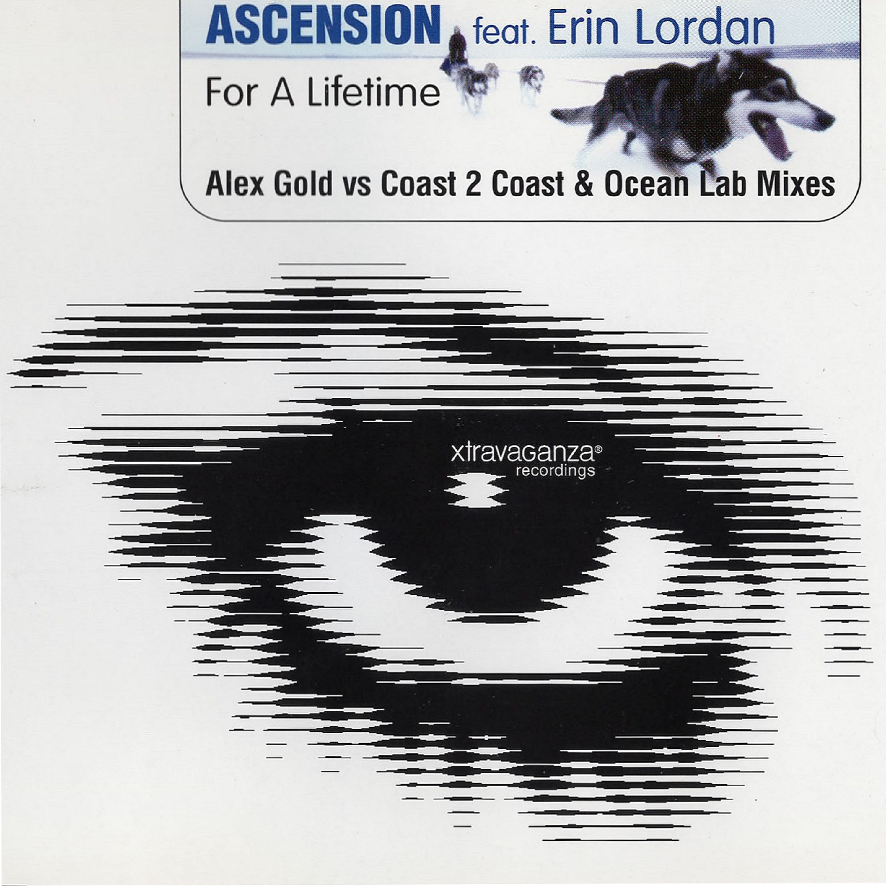 For a Lifetime (feat. Erin Lordan)