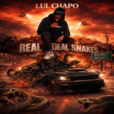 Real Deal Snakes