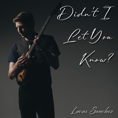 Didn't I Let You Know? - Single