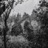 In The Clearing