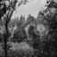 In The Clearing - Single