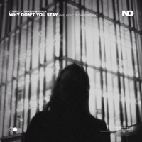 Why Don't You Stay (Melodic Techno Remix) - Single - Lynnic, ItsArius & Dinia